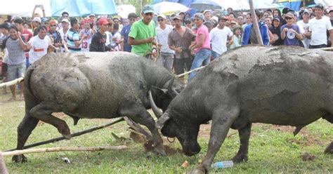 Leyte town cancels 400.